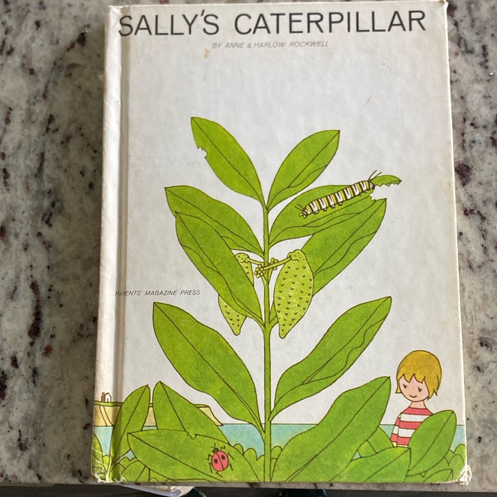 Sally's Caterpillar Coffee Table Book - Green and White